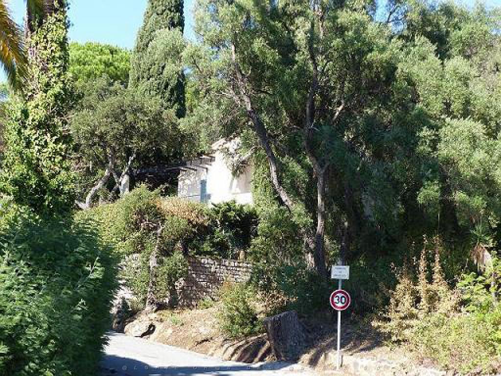 183 D28 Rayol Canadel 3_000026.jpg